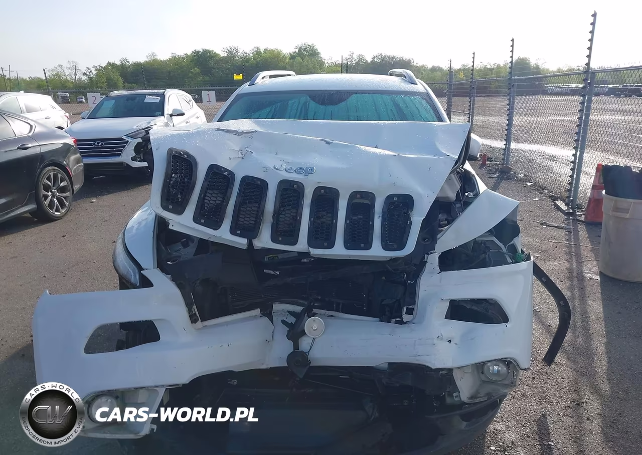 2016 Jeep Cherokee Limited VIN:1C4PJLDB1GW158590 - 12