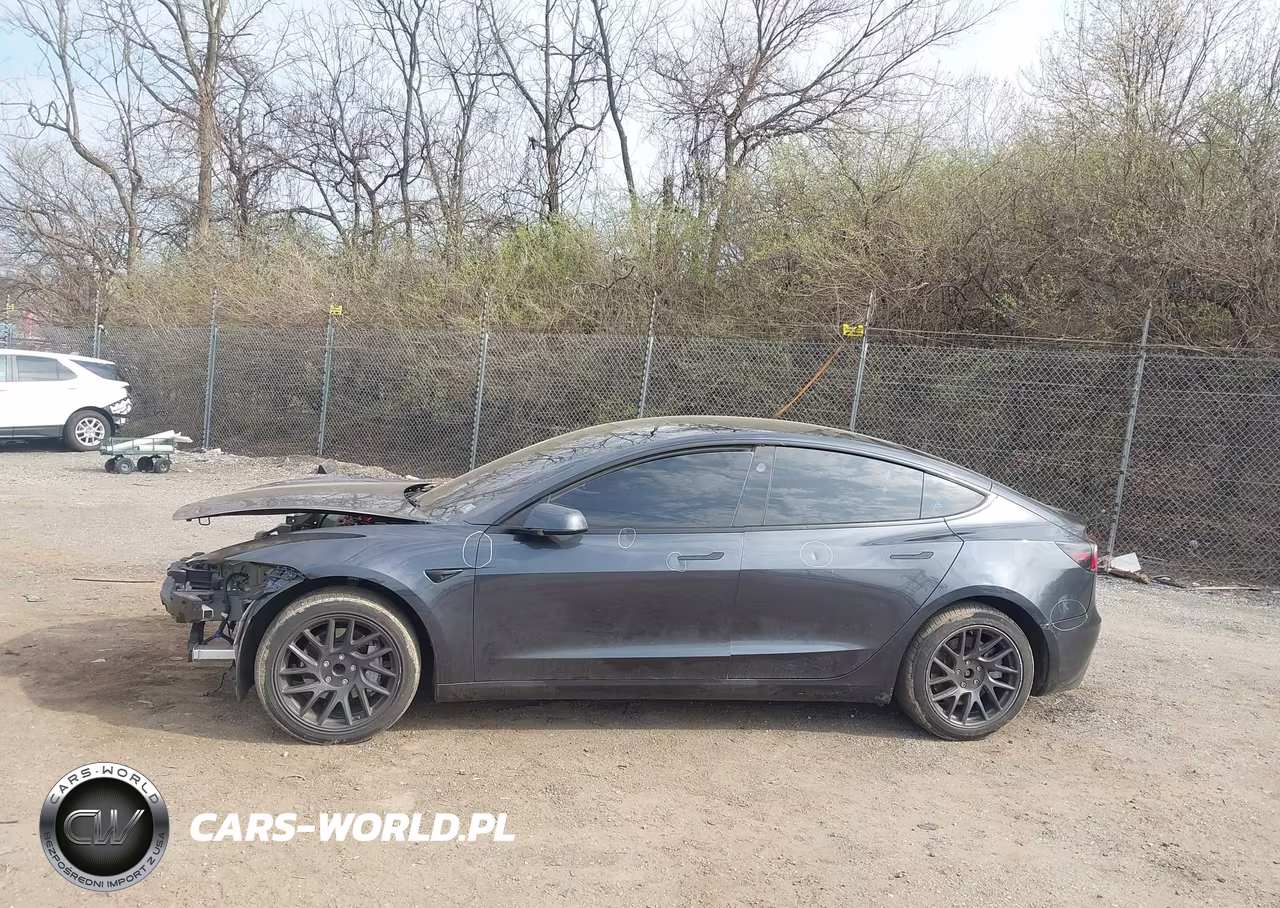 2025 Tesla Model 3 Long Range Rear-Wheel Drive-Standard Rear-Wheel Drive VIN:5YJ3E1EA9SF023321 - 14