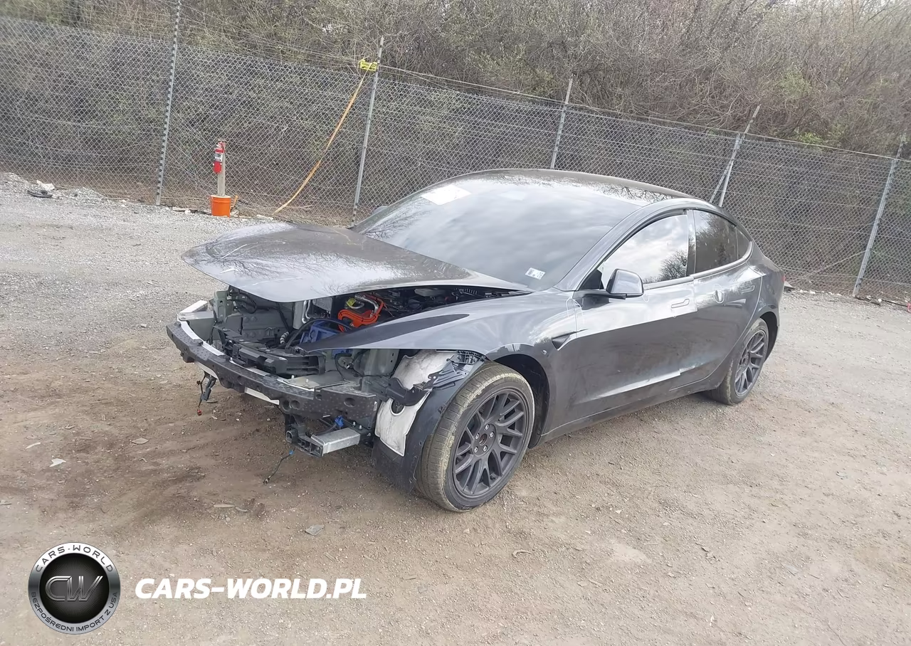 2025 Tesla Model 3 Long Range Rear-Wheel Drive-Standard Rear-Wheel Drive VIN:5YJ3E1EA9SF023321 - 2