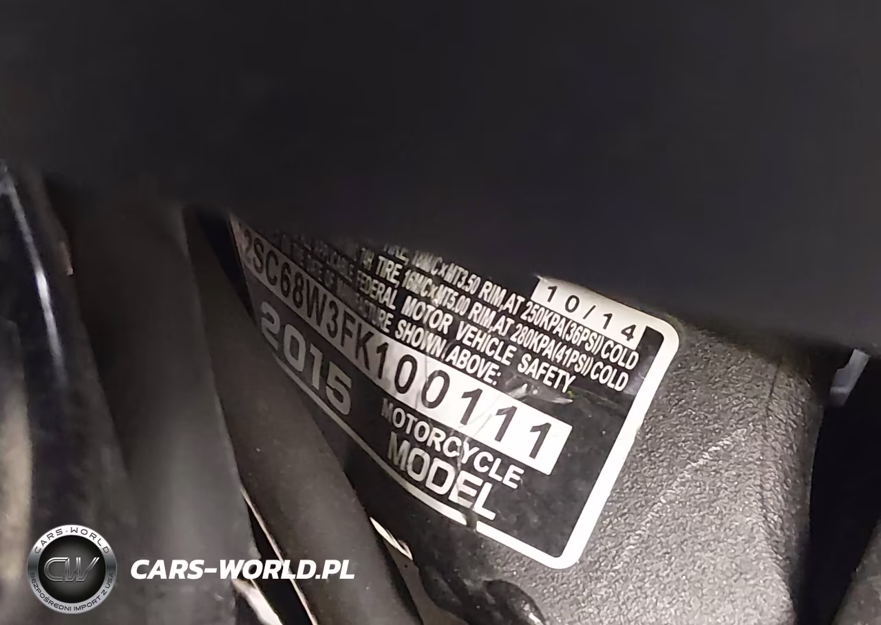 2015 Honda Gl1800 VIN:JH2SC68W3FK100111 - 10