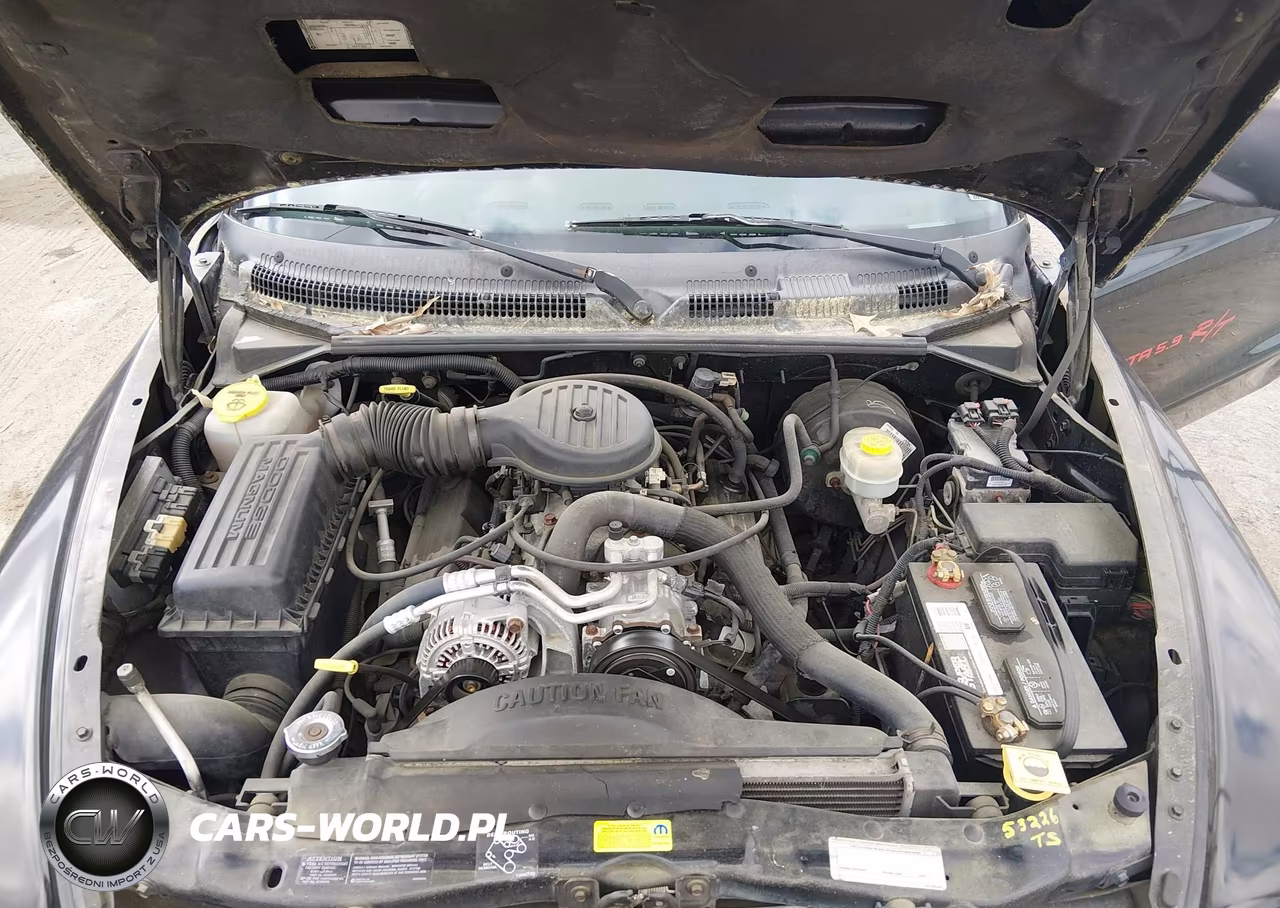 1999 Dodge Dakota Sport VIN:1B7GL22ZXXS121789 - 10