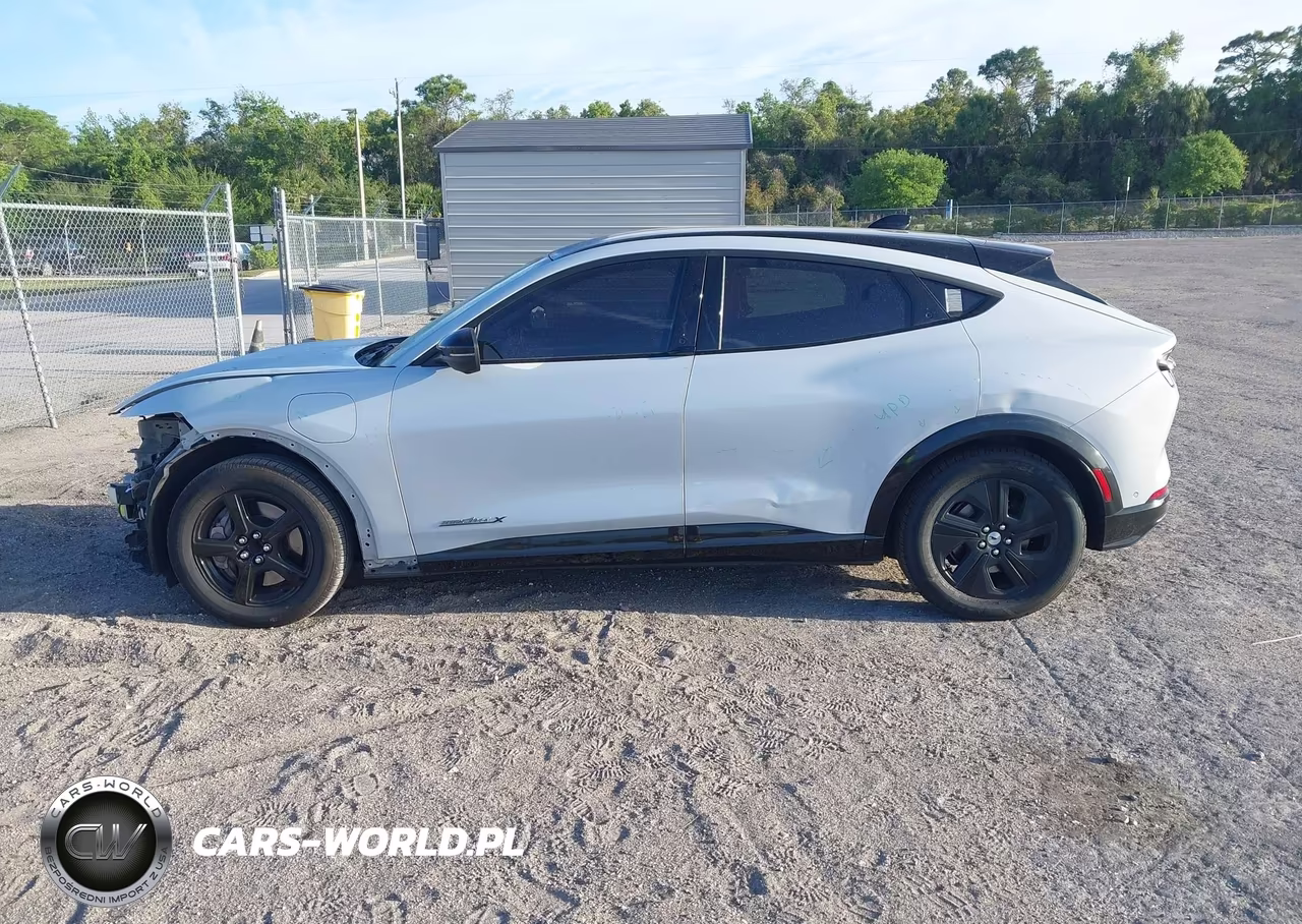 2021 Ford Mustang Mach-E California Route 1 VIN:3FMTK2R78MMA57127 - 14