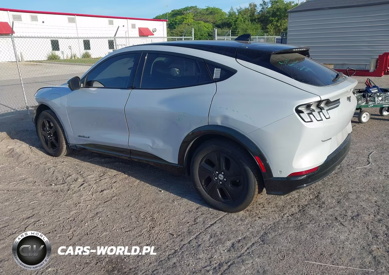 2021 Ford Mustang Mach-E California Route 1 VIN:3FMTK2R78MMA57127 - 3