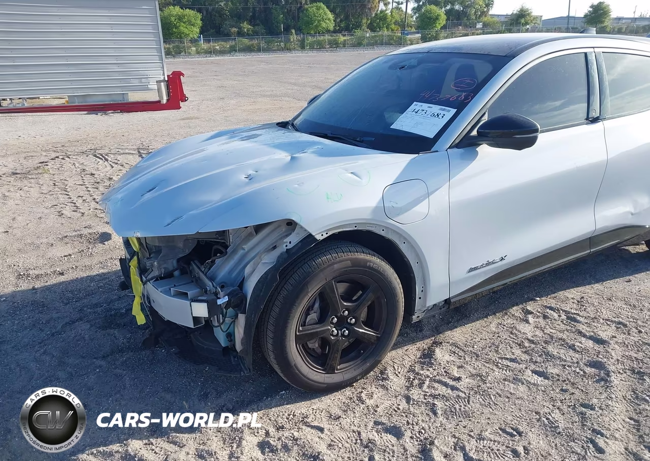 2021 Ford Mustang Mach-E California Route 1 VIN:3FMTK2R78MMA57127 - 6