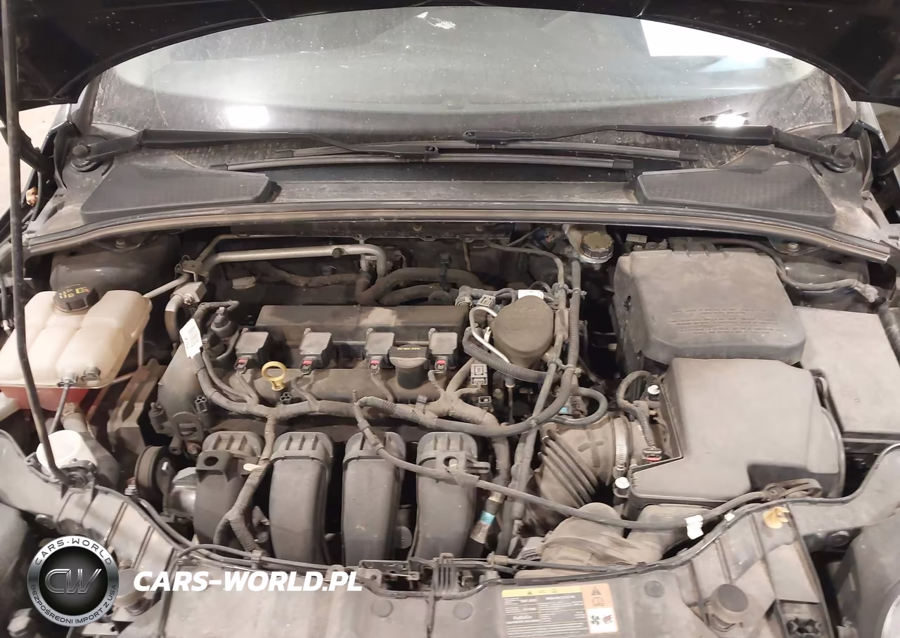 2014 Ford Focus Se VIN:1FADP3F23EL118188 - 10