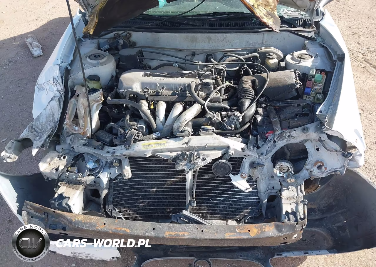 1999 Toyota Corolla Ce VIN:1NXBR12E6XZ177583 - 10