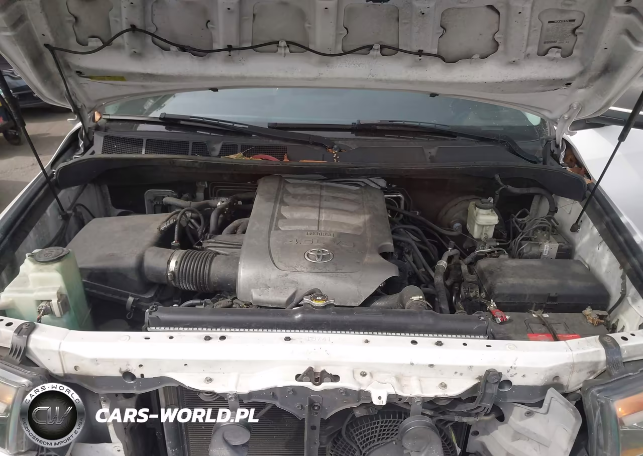 2010 Toyota Sequoia Sr5 4.6L V8 VIN:5TDZM5G19AS002321 - 10