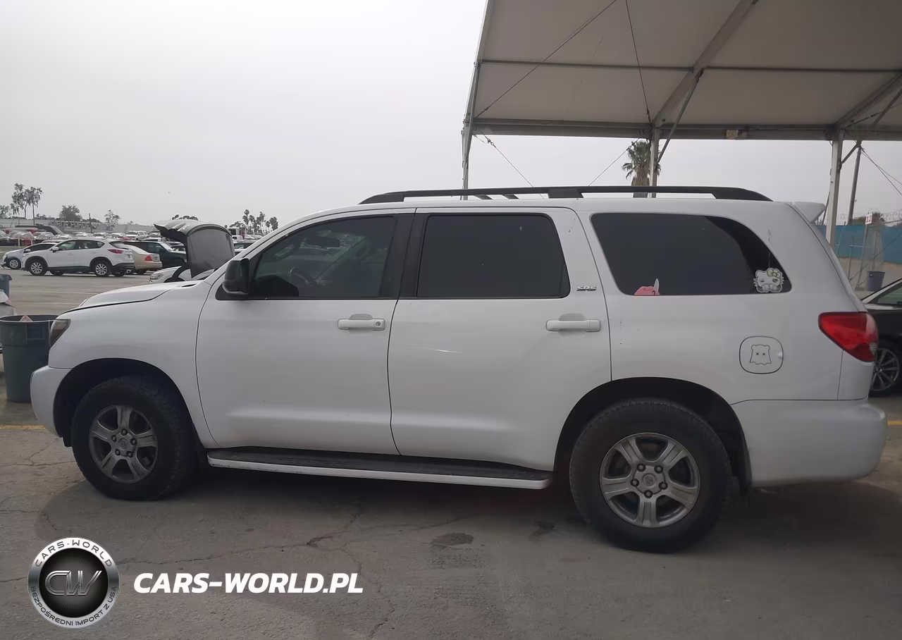 2010 Toyota Sequoia Sr5 4.6L V8 VIN:5TDZM5G19AS002321 - 14