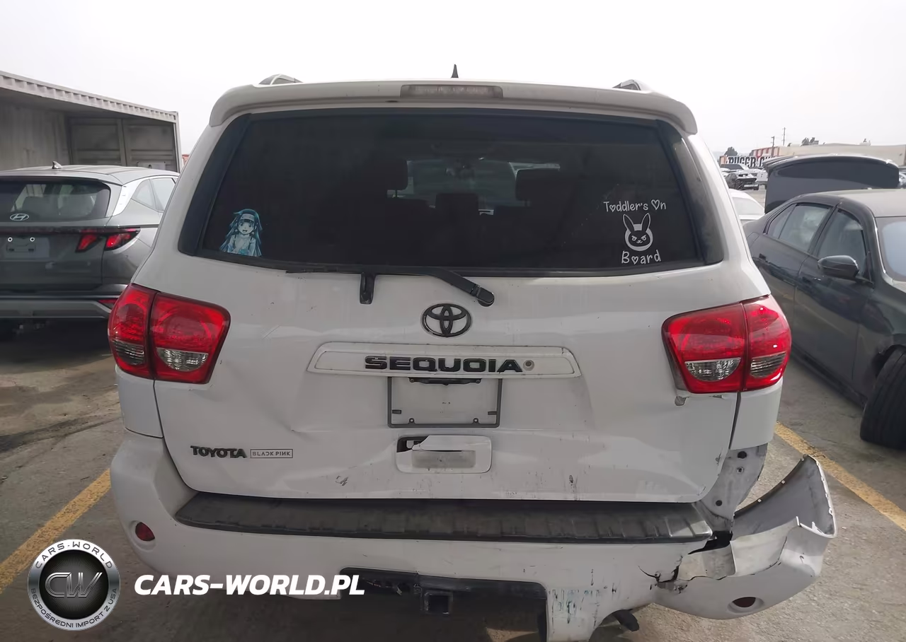 2010 Toyota Sequoia Sr5 4.6L V8 VIN:5TDZM5G19AS002321 - 16