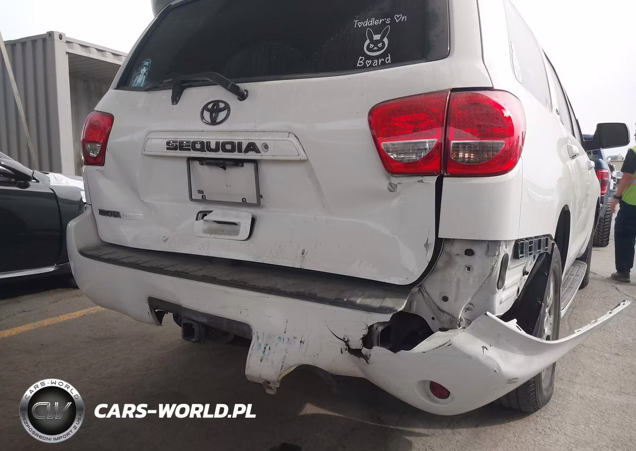 2010 Toyota Sequoia Sr5 4.6L V8 VIN:5TDZM5G19AS002321 - 6