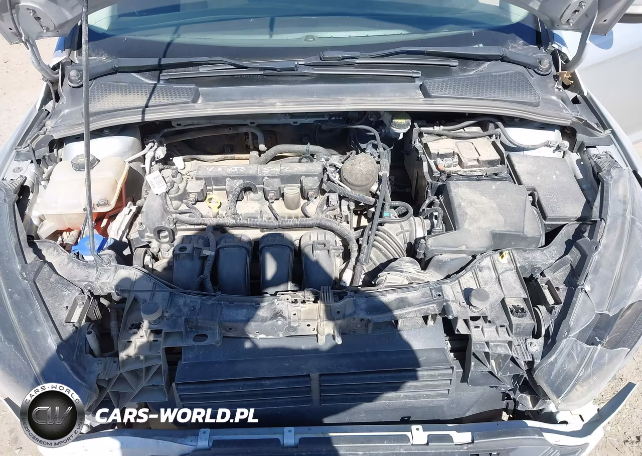 2015 Ford Focus Se VIN:1FADP3K25FL204559 - 10