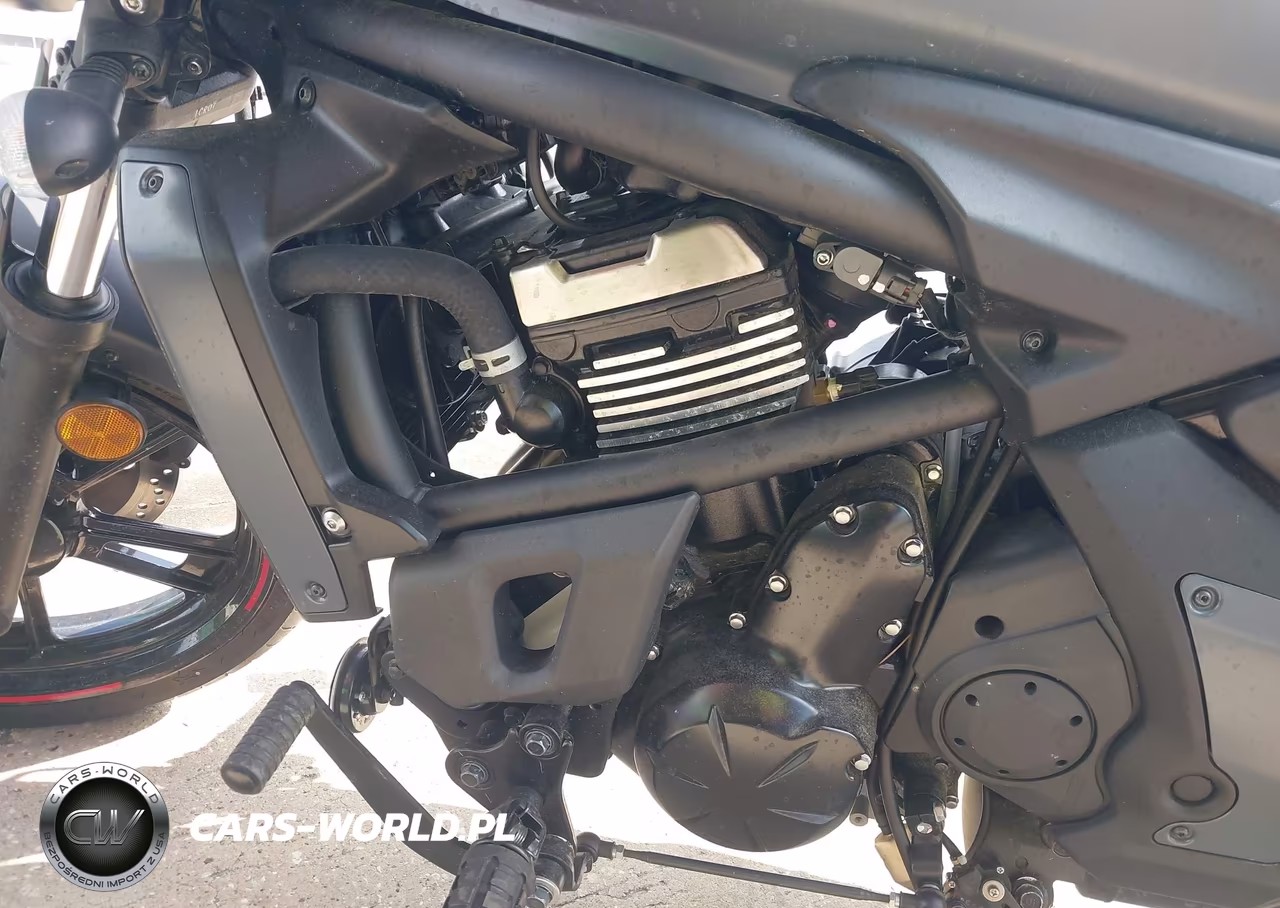 2024 Kawasaki En650 E VIN:JKAENEE1XRDA07370 - 9