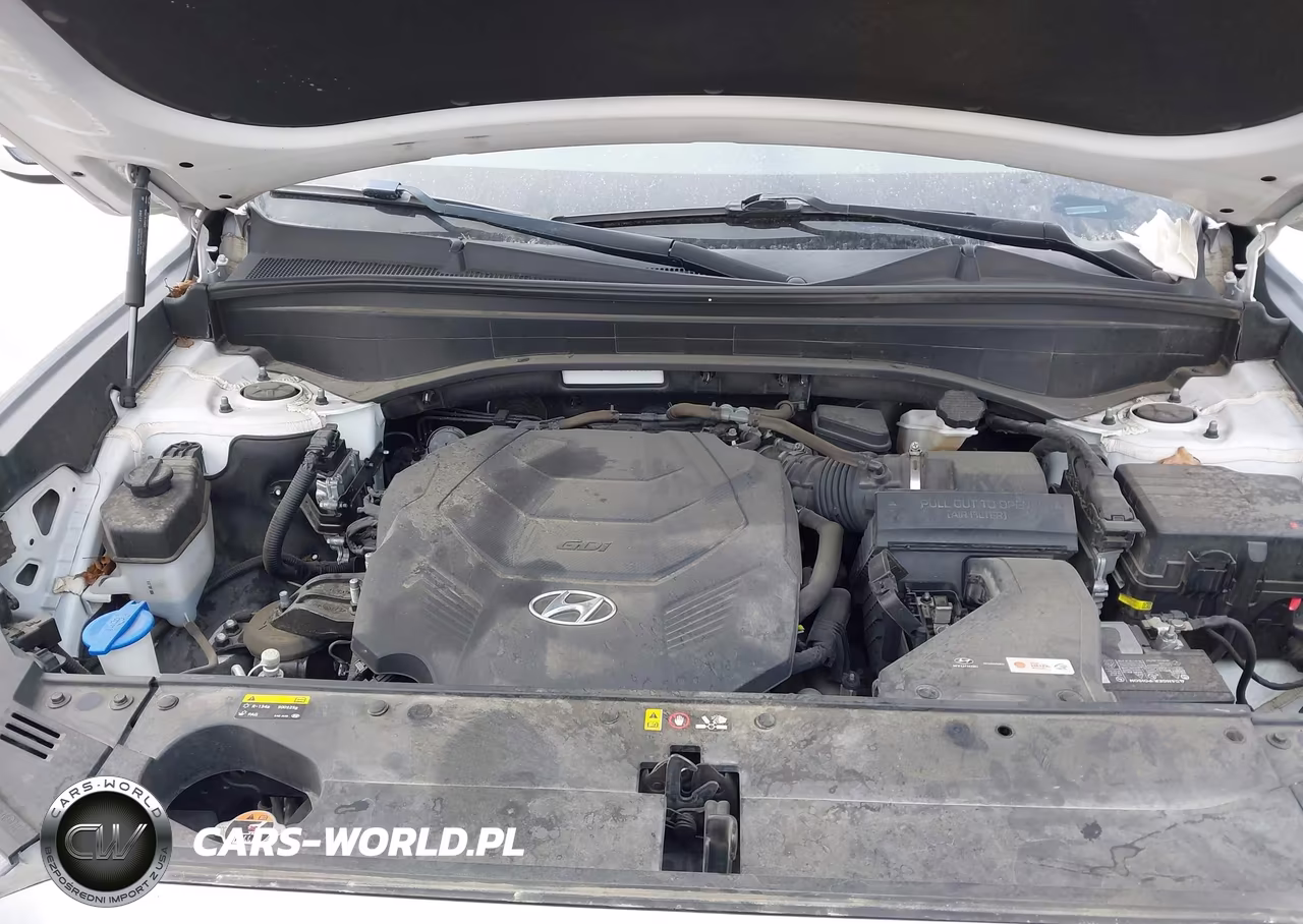 2020 Hyundai Palisade Sel VIN:KM8R24HE9LU143630 - 10