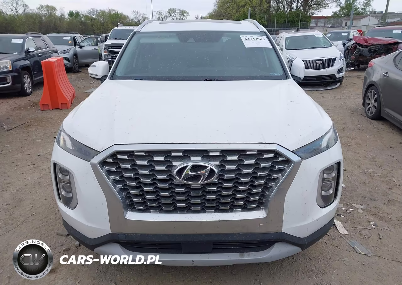 2020 Hyundai Palisade Sel VIN:KM8R24HE9LU143630 - 12
