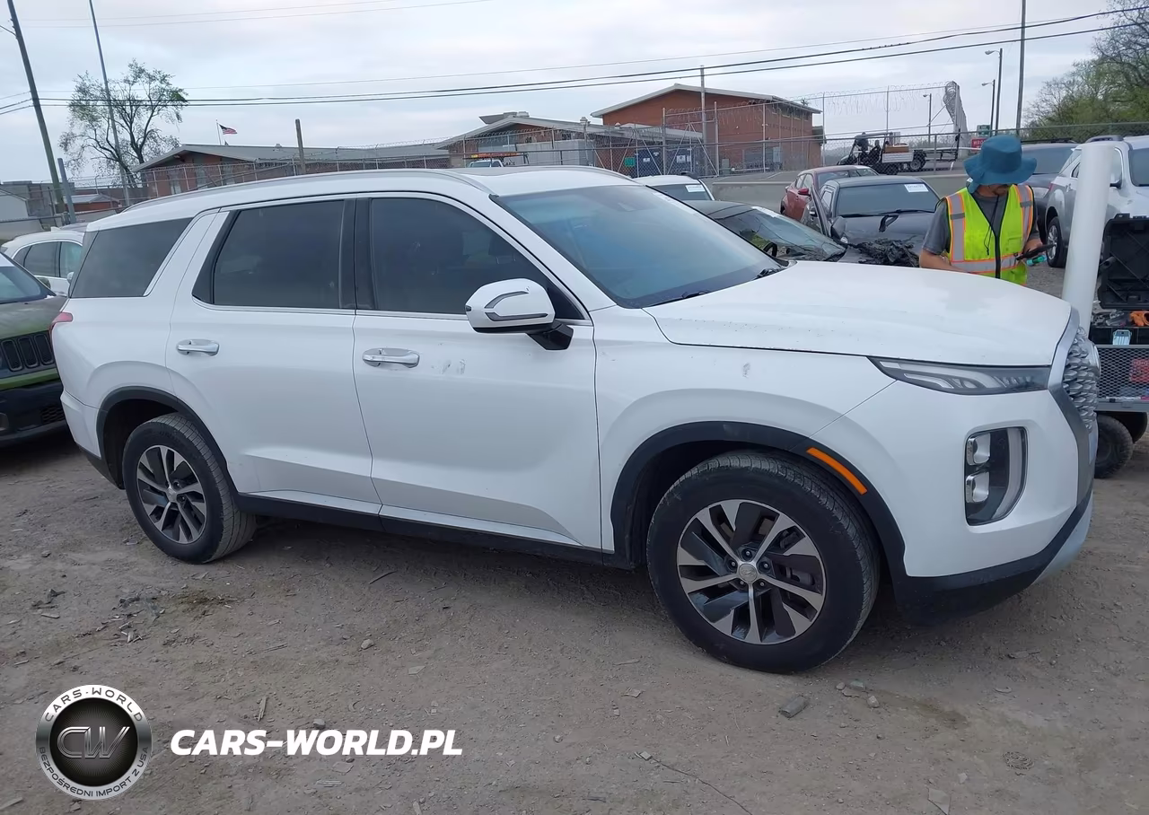 2020 Hyundai Palisade Sel VIN:KM8R24HE9LU143630 - 13