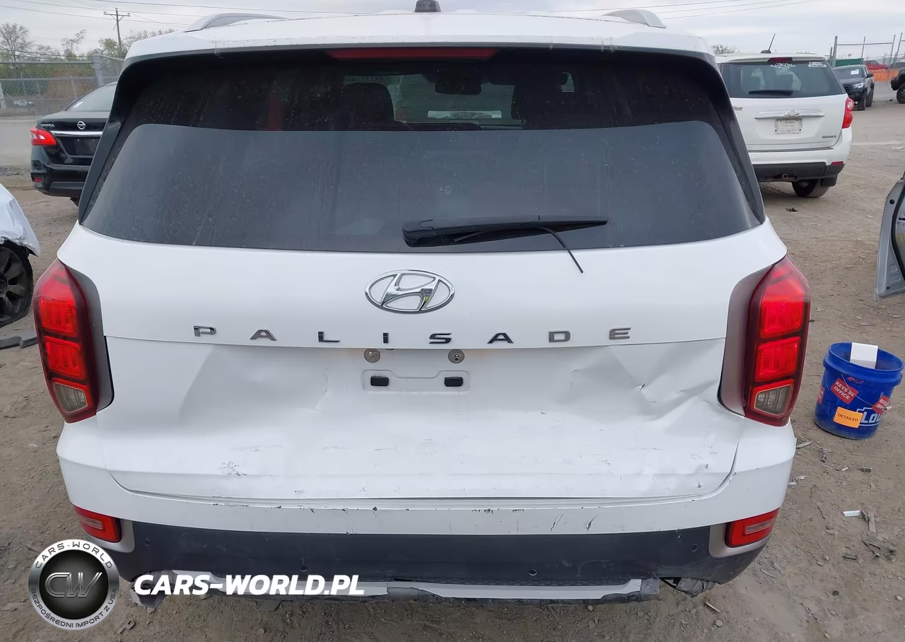 2020 Hyundai Palisade Sel VIN:KM8R24HE9LU143630 - 16