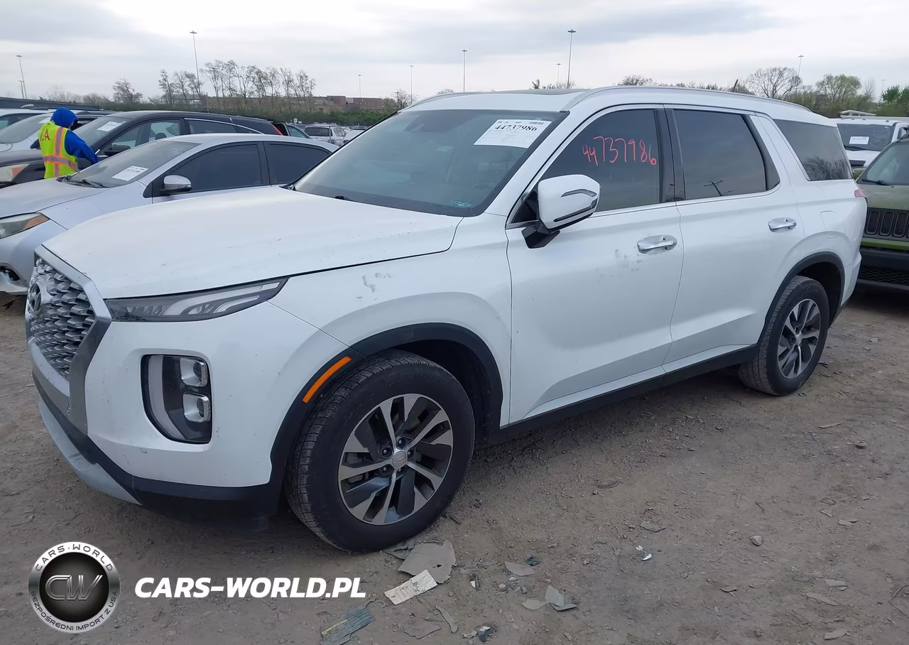 2020 Hyundai Palisade Sel VIN:KM8R24HE9LU143630 - 2