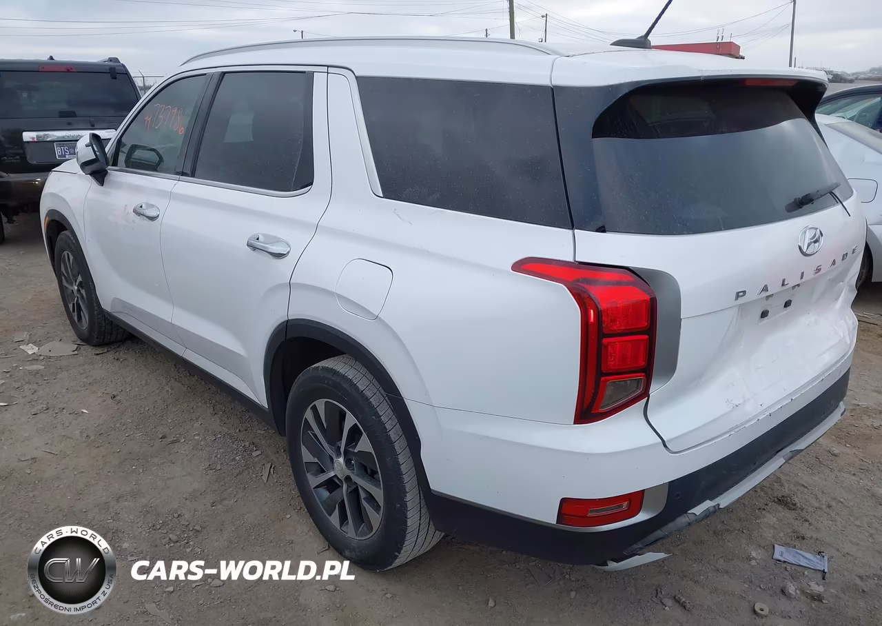 2020 Hyundai Palisade Sel VIN:KM8R24HE9LU143630 - 3