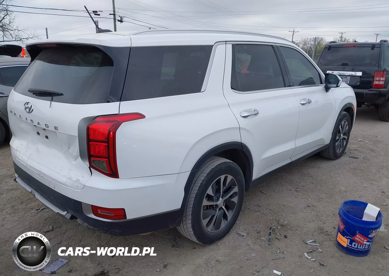 2020 Hyundai Palisade Sel VIN:KM8R24HE9LU143630 - 4
