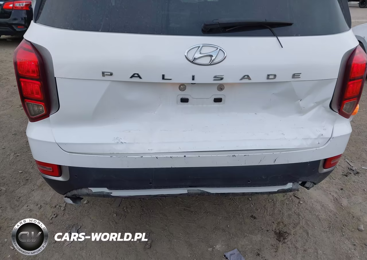 2020 Hyundai Palisade Sel VIN:KM8R24HE9LU143630 - 6