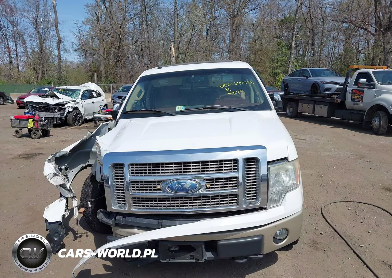 2009 Ford F-150 Fx4-King Ranch-Lariat-Platinum-Xl-Xlt VIN:1FTPW14V69KC78654 - 12