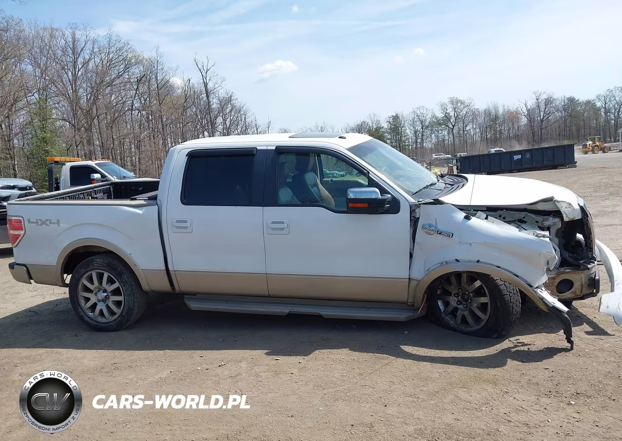 2009 Ford F-150 Fx4-King Ranch-Lariat-Platinum-Xl-Xlt VIN:1FTPW14V69KC78654 - 13