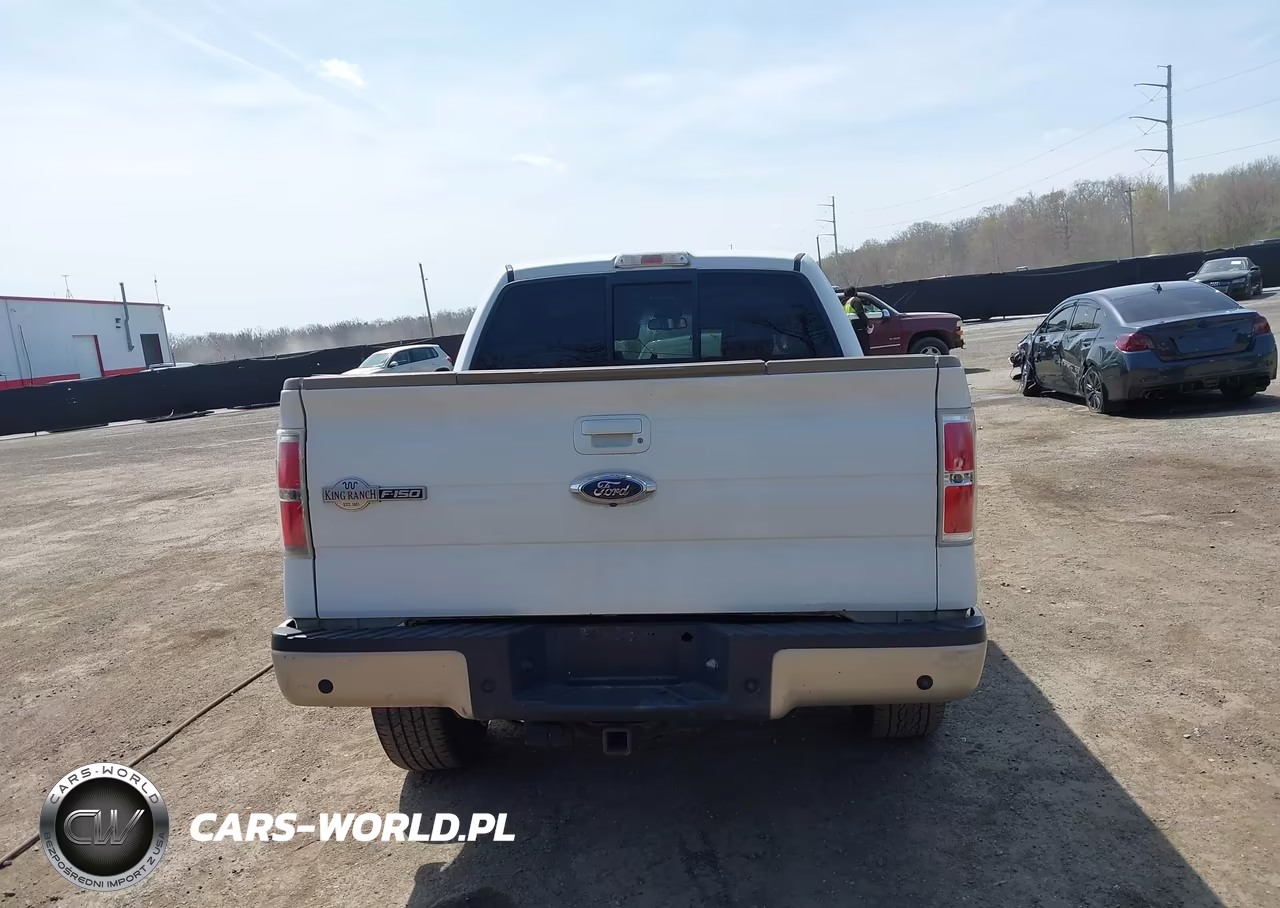 2009 Ford F-150 Fx4-King Ranch-Lariat-Platinum-Xl-Xlt VIN:1FTPW14V69KC78654 - 16