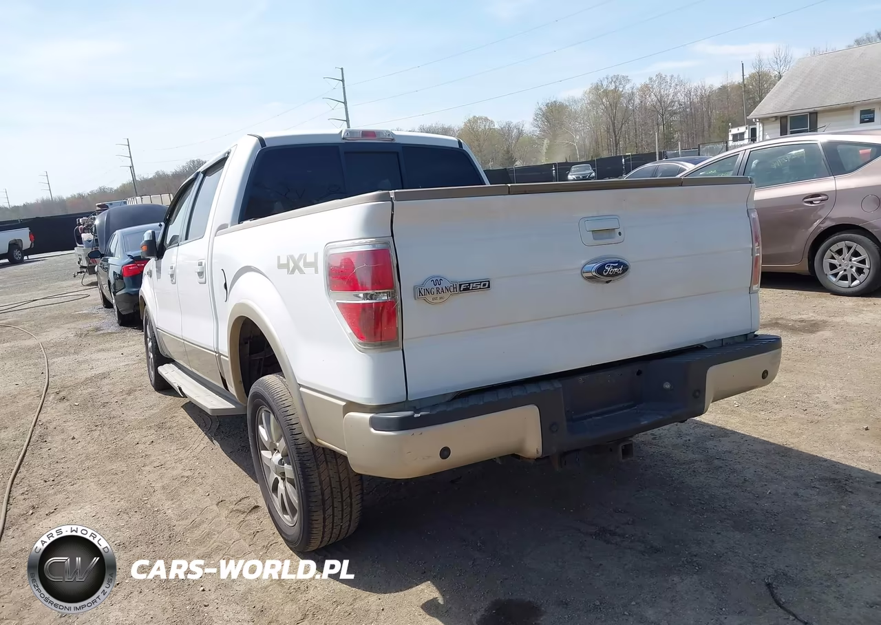 2009 Ford F-150 Fx4-King Ranch-Lariat-Platinum-Xl-Xlt VIN:1FTPW14V69KC78654 - 3