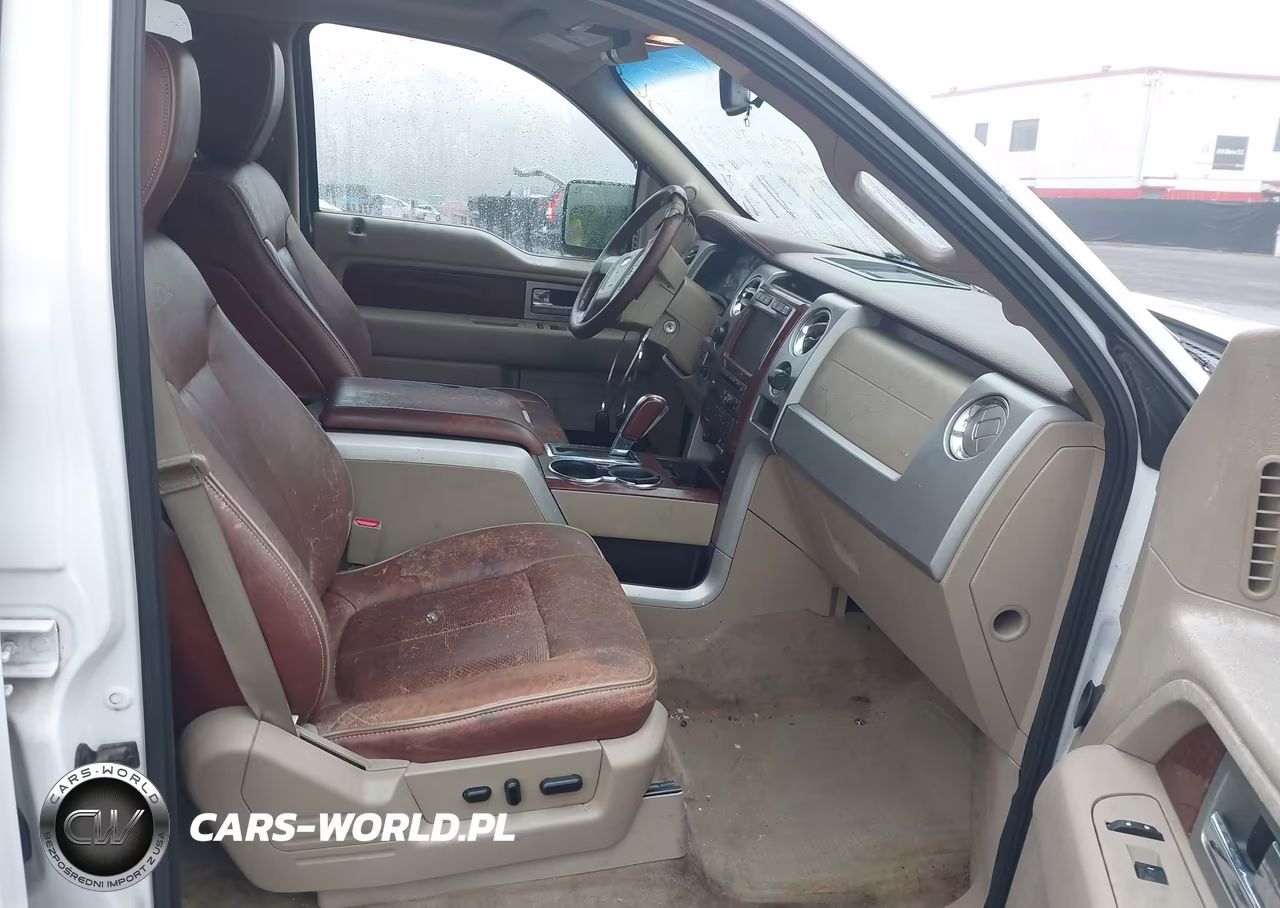 2009 Ford F-150 Fx4-King Ranch-Lariat-Platinum-Xl-Xlt VIN:1FTPW14V69KC78654 - 5