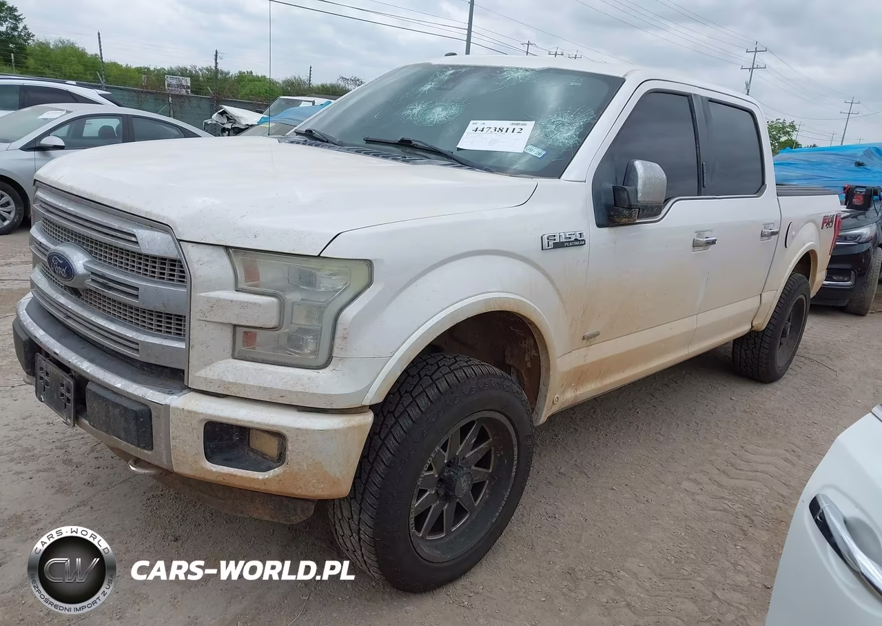 2015 Ford F-150 Platinum VIN:1FTEW1EG7FFC93904 - 2