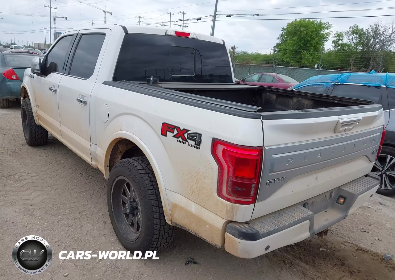2015 Ford F-150 Platinum VIN:1FTEW1EG7FFC93904 - 3