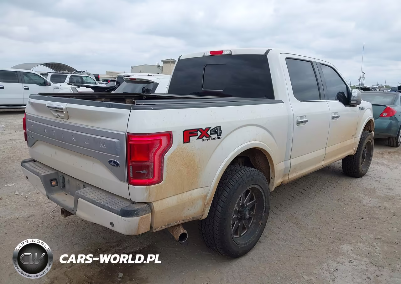 2015 Ford F-150 Platinum VIN:1FTEW1EG7FFC93904 - 4