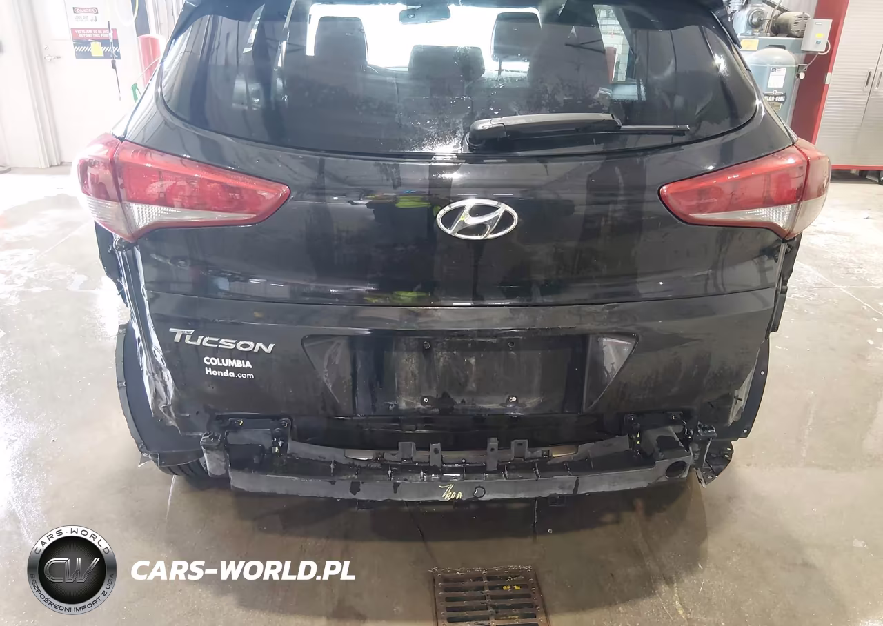 2016 Hyundai Tucson Se VIN:KM8J33A42GU055630 - 6