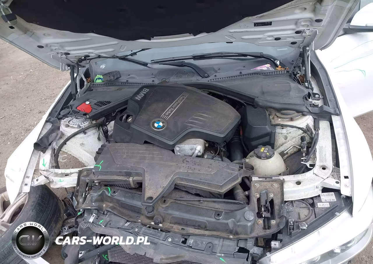 2015 BMW 428I xDrive VIN:WBA3N9C57FK247794 - 10