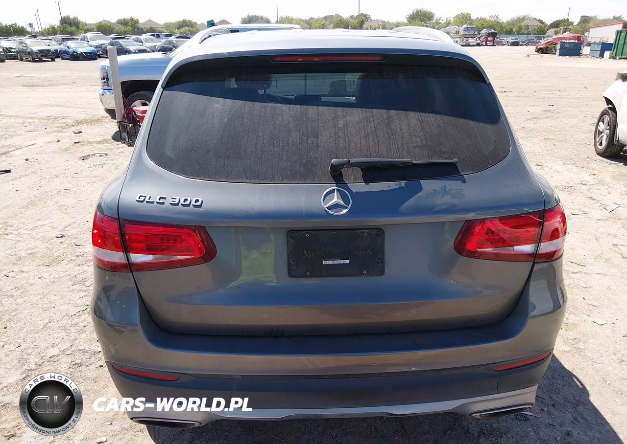 2017 Mercedes-Benz Glc 300 VIN:WDC0G4JBXHV010658 - 16