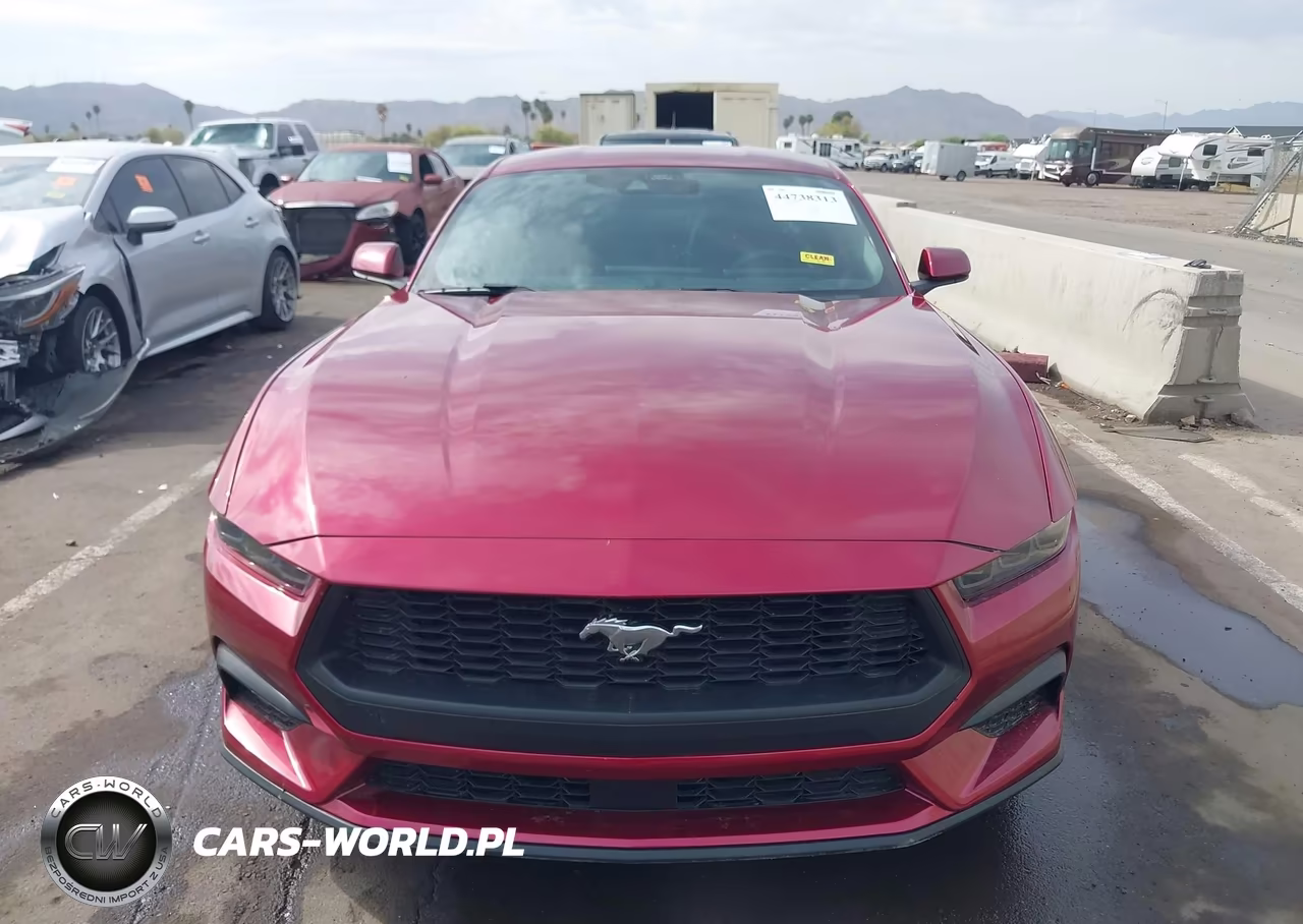 2025 Ford Mustang Ecoboost Fastback VIN:1FA6P8TH5S5128820 - 12