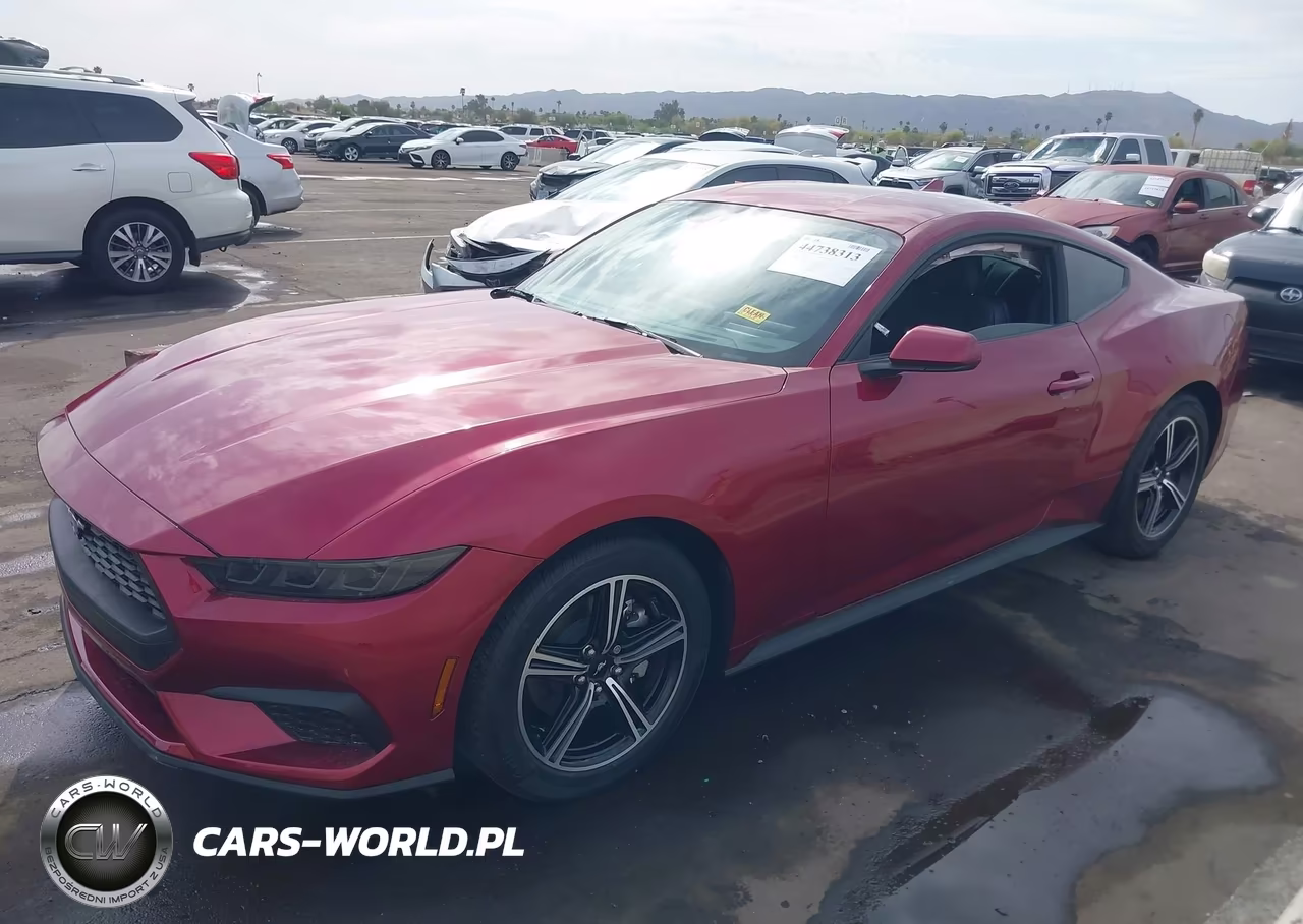 2025 Ford Mustang Ecoboost Fastback VIN:1FA6P8TH5S5128820 - 2