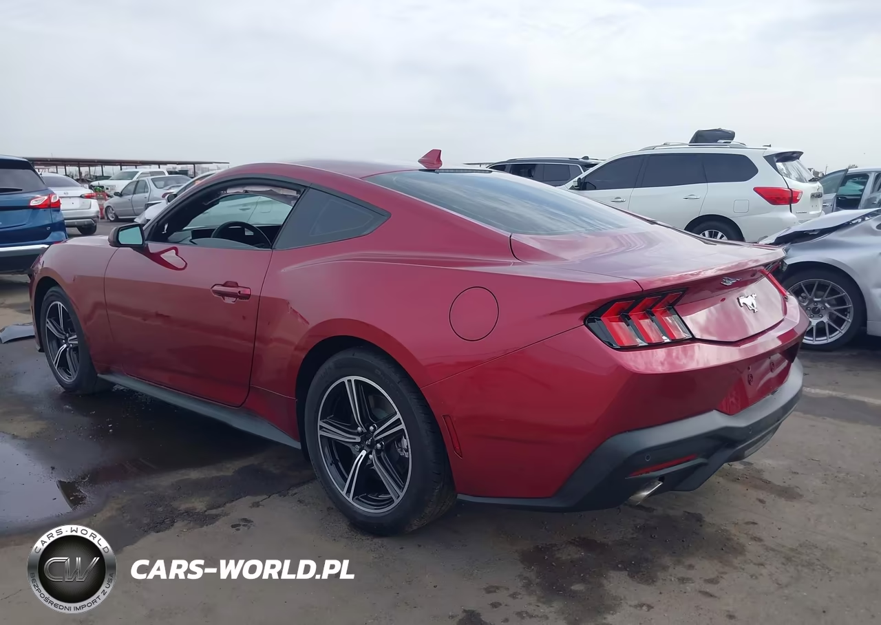 2025 Ford Mustang Ecoboost Fastback VIN:1FA6P8TH5S5128820 - 3