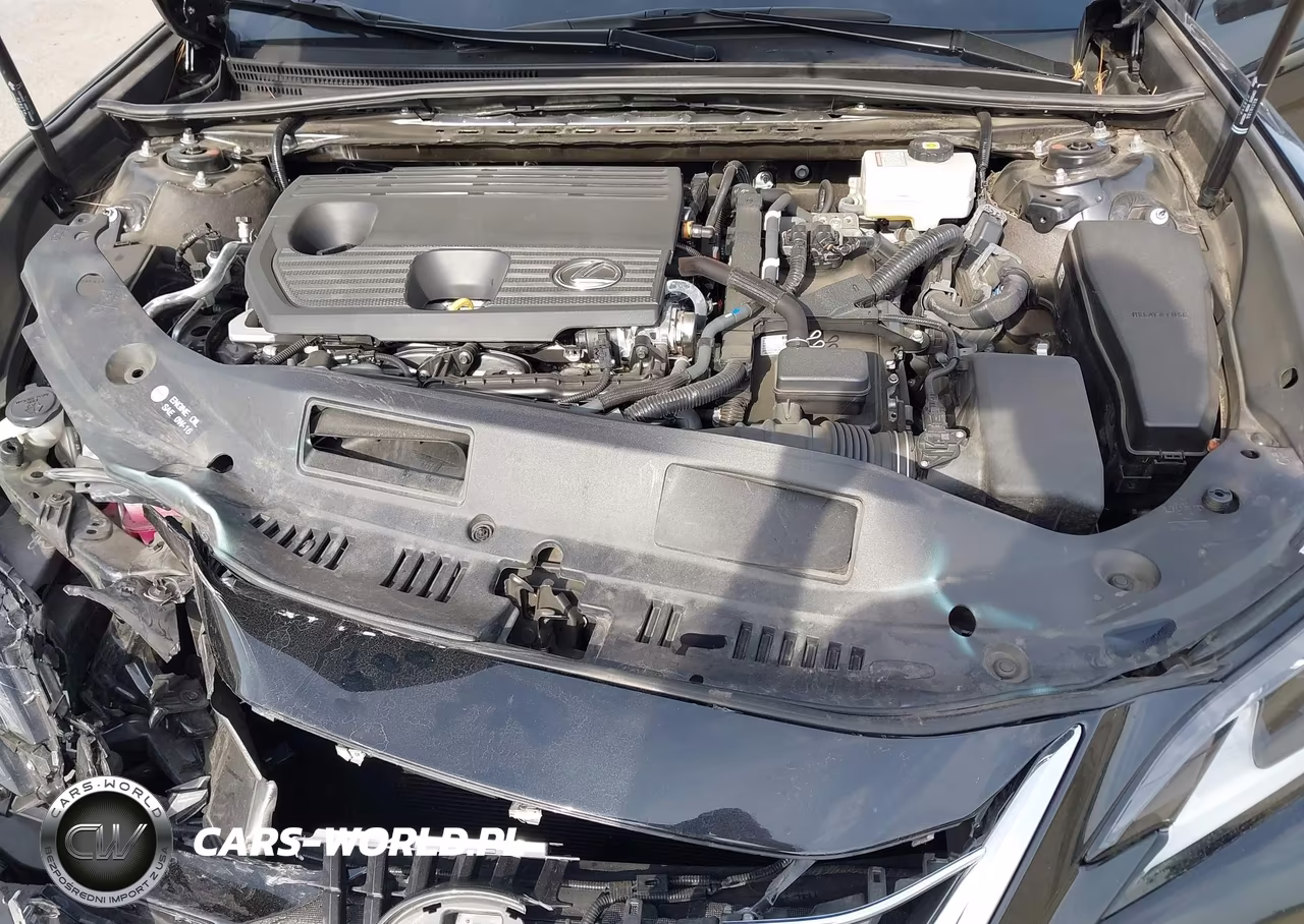 2025 Lexus Es 300H VIN:58ADA1C10SU055640 - 10