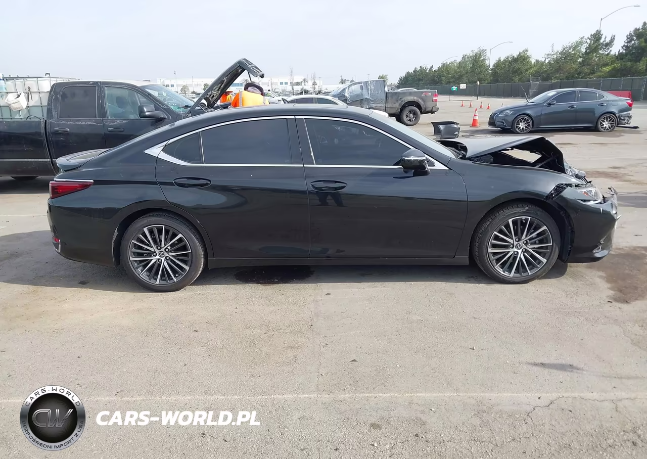 2025 Lexus Es 300H VIN:58ADA1C10SU055640 - 13