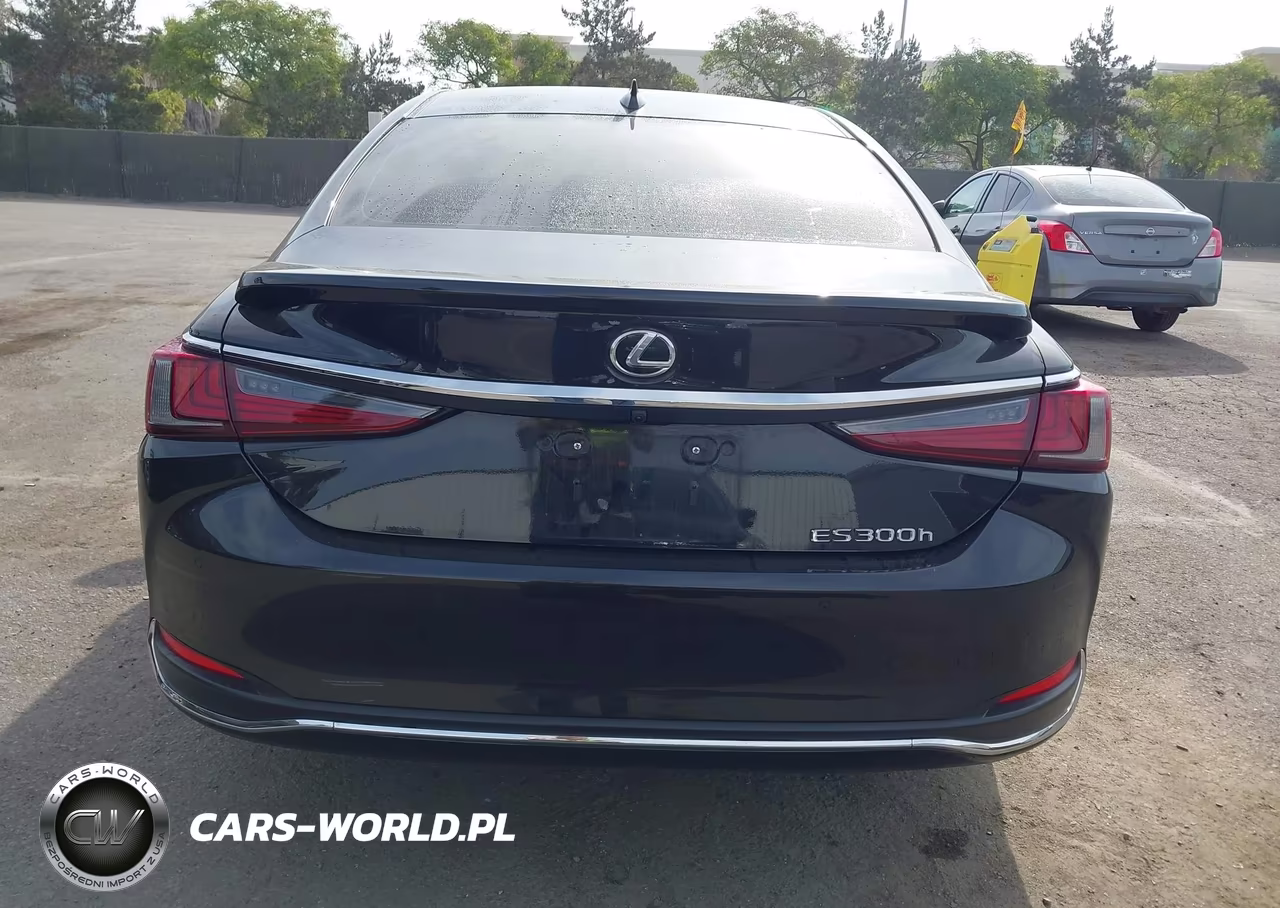 2025 Lexus Es 300H VIN:58ADA1C10SU055640 - 16