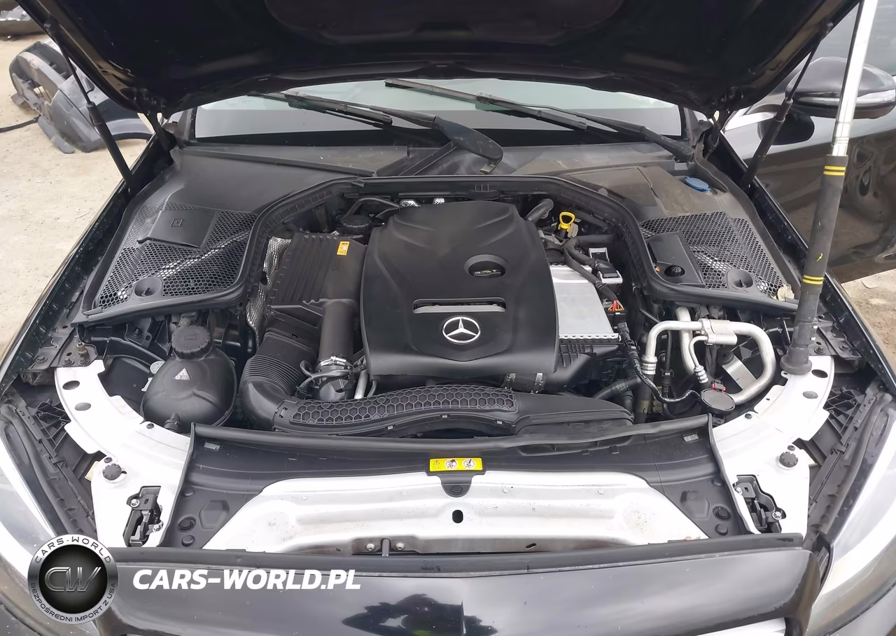 2017 Mercedes-Benz C 300 VIN:55SWF4JB0HU188675 - 10