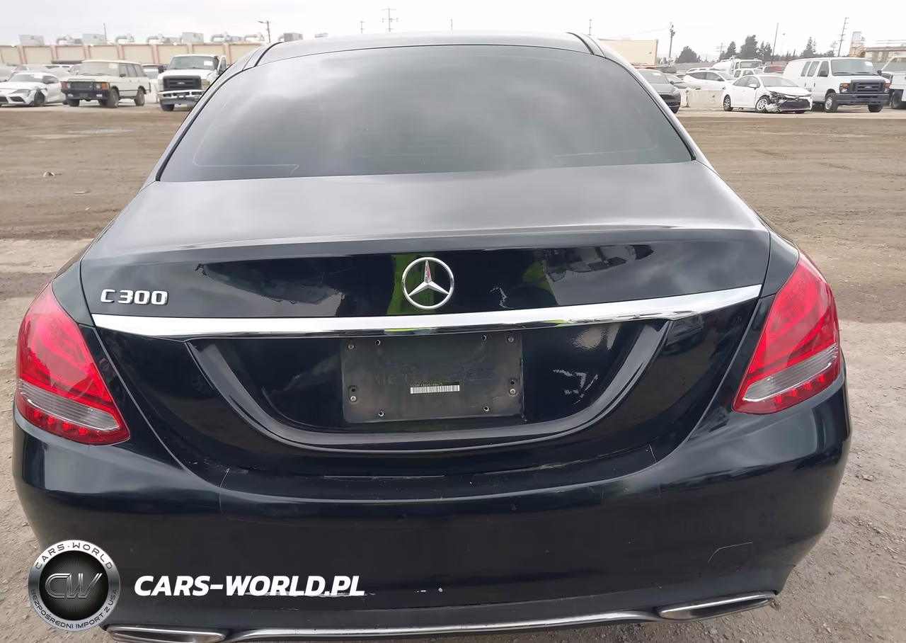 2017 Mercedes-Benz C 300 VIN:55SWF4JB0HU188675 - 16