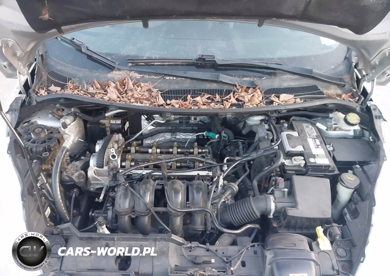 2013 Ford Fiesta Se VIN:3FADP4BJ0DM149284 - 10