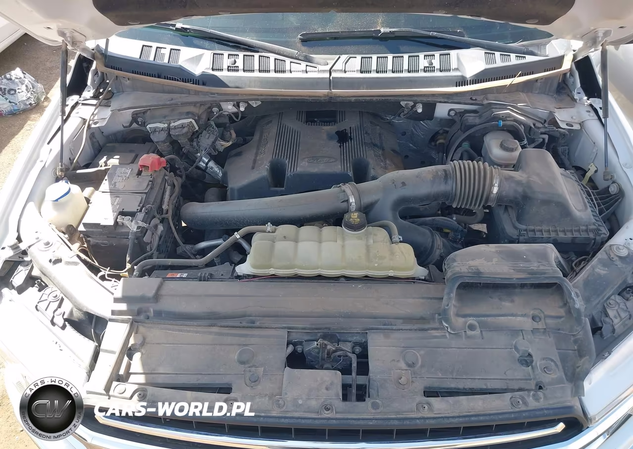 2019 Ford F-150 Xlt VIN:1FTEW1E46KFC11015 - 10