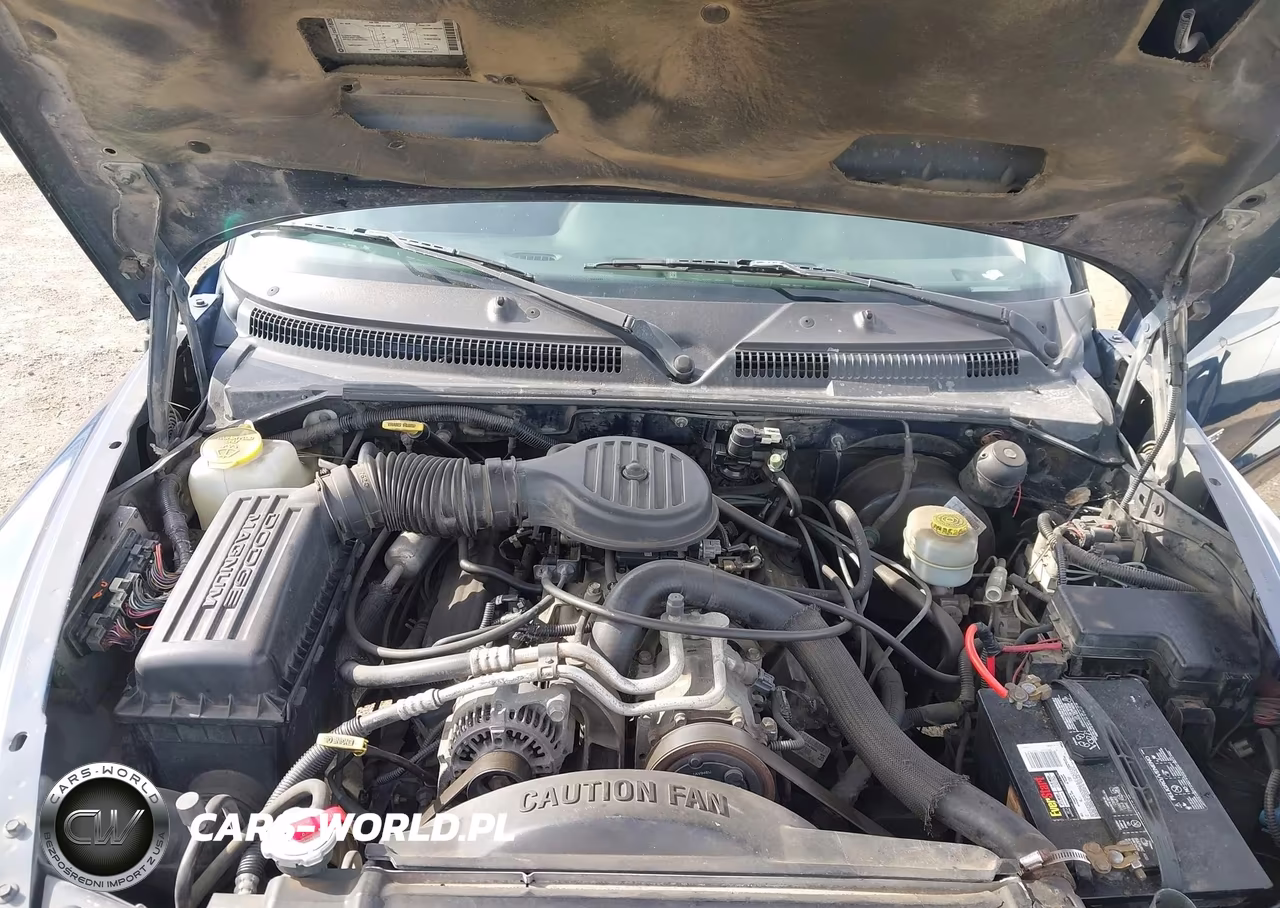 1999 Dodge Durango VIN:1B4HR28Y2XF658177 - 10