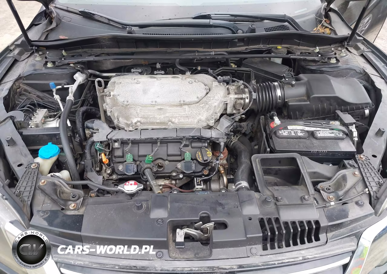2014 Honda Accord Ex-L V-6 VIN:1HGCR3F83EA002507 - 10