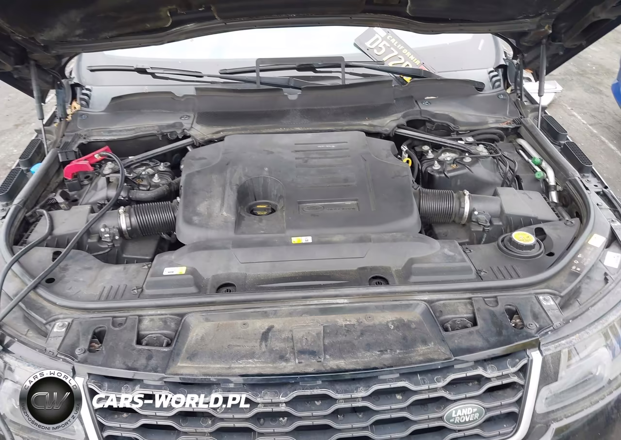2019 Land Rover Range Rover Sport Hse Mhev VIN:SALWR2RU8KA865631 - 10