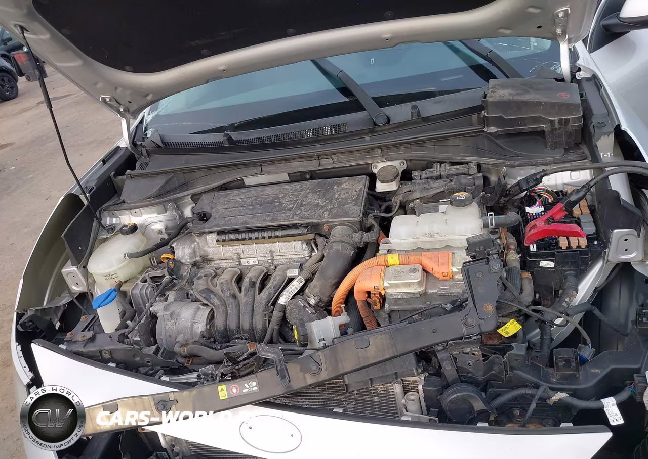 2019 Kia Niro Lx VIN:KNDCB3LC1K5240789 - 10