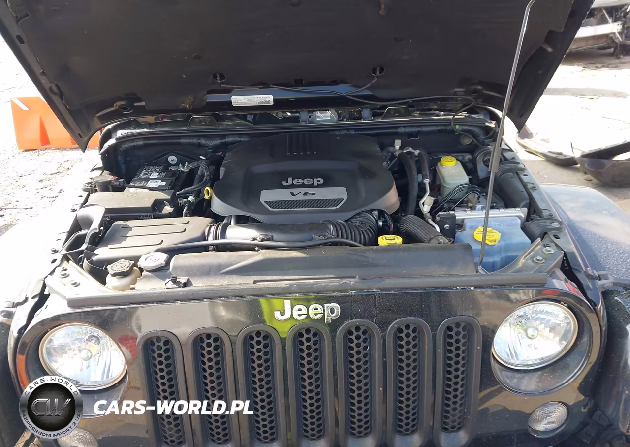 2016 Jeep Wrangler Unlimited Sahara VIN:1C4BJWEGXGL258551 - 10